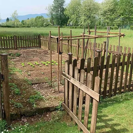 Paradiso Nel Verde
