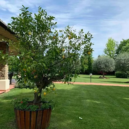 Paradiso Nel Verde