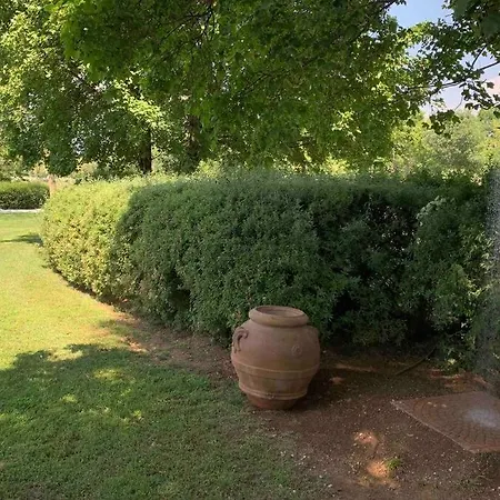 Paradiso Nel Verde *